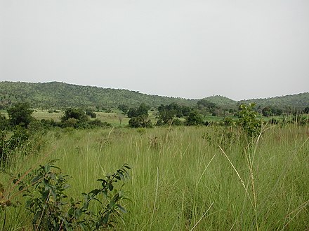 Savannah near the Gbomblora Department, on the road from Gaoua to Batié