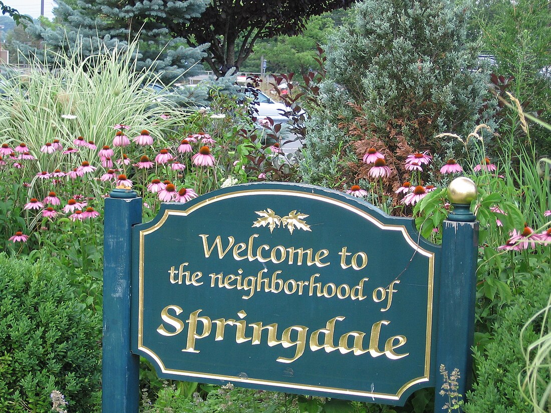 Springdale (Stamford)