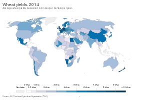 Average wheat yields, measured in tonnes per hectare in 2014.[145]