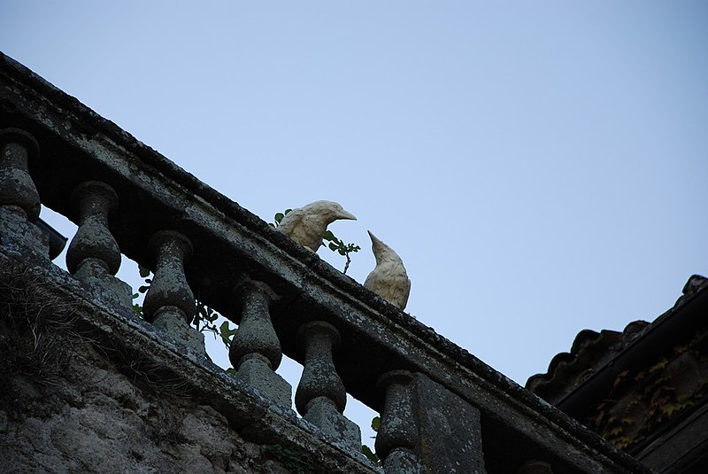 File:Wood crows (6795719989).jpg