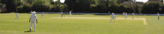 Wycombe House Cricket.jpg