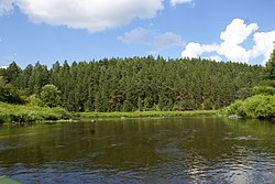 Устье реки Салды, впадающей в р. Тагил - panoramio.jpg