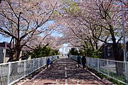札幌恵庭自転車道線（白石こころーど）（2016年5月）