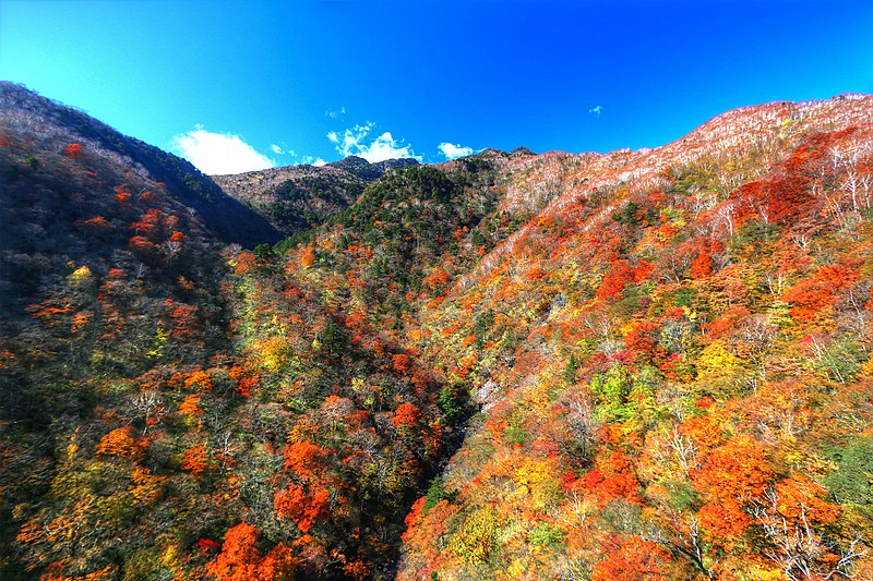 File:日光六方沢の紅葉 02.jpg