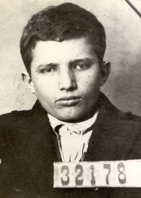 Tập_tin:001.Nicolae_Ceausescu_la_varsta_de_15_ani_in_1933.jpg