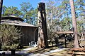 106 inch Diameter Cypress Tree