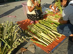 Maadolan busung