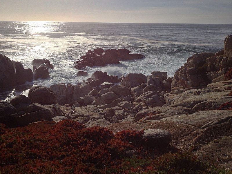 File:17 Mile Drive (19323577).jpeg