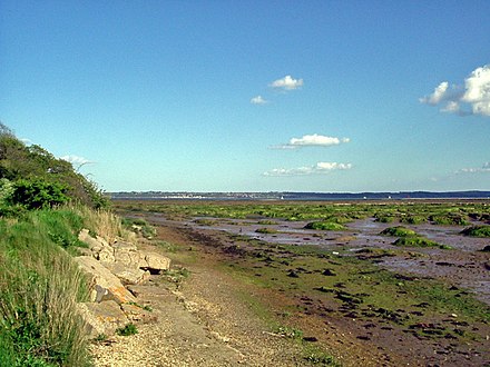 Salt marsh near Lepe Country Park, with the Isle of Wight in the distance