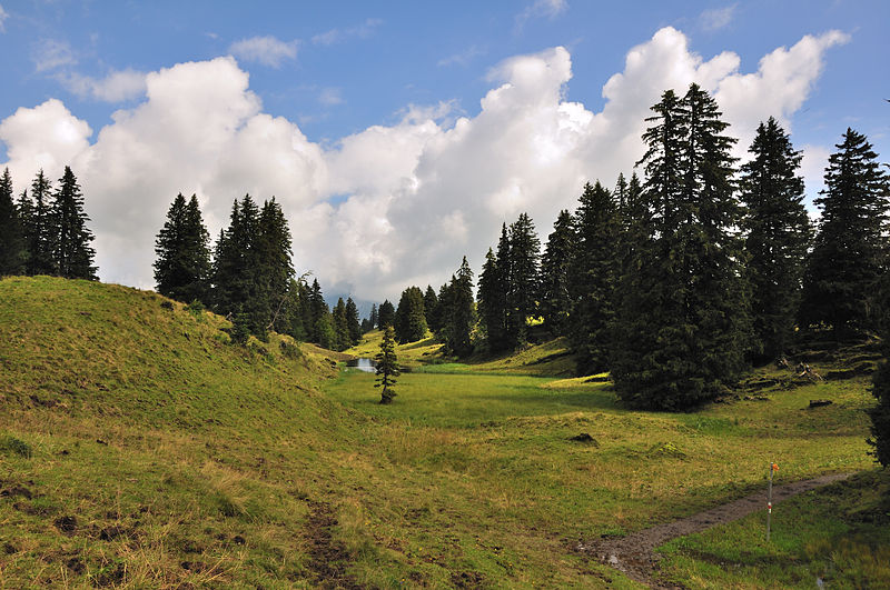 File:2011-08-04 11-55-33 Switzerland Starkenbach.jpg