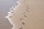 Thumbnail for Footprints (poem)