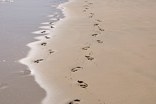 Footprints (poem)