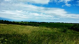 East European Forest Steppe