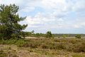 Gortelse Heide