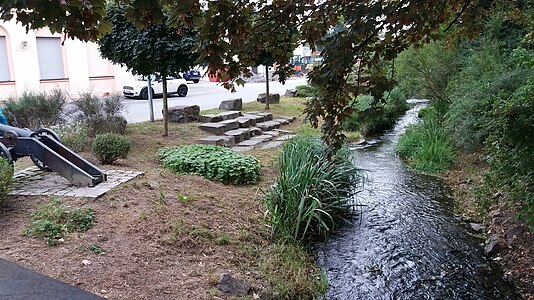 Land restoration at a small River bank in Germany (Mühlenstrang)