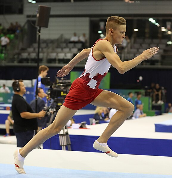 File:2019-06-27 1st FIG Artistic Gymnastics JWCH Men's All-around competition Subdivision 3 Vault (Martin Rulsch) 006.jpg