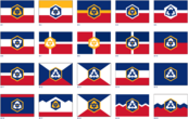 2020 Perserverance Flags- Barnes.png