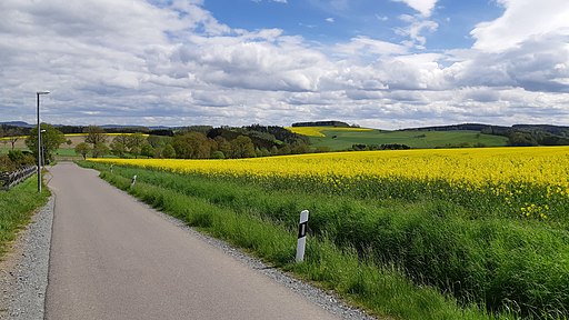 2021-05-22-Chemnitz-Wieseneck-2