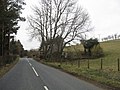A708 running past a cottage - geograph.org.uk - 1804627.jpg
