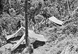 Kokoda Track Campaign