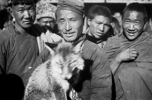 A Salar Muslim with a captured fox at the market, Labrang, Xiahe County, Gansu, 1934.