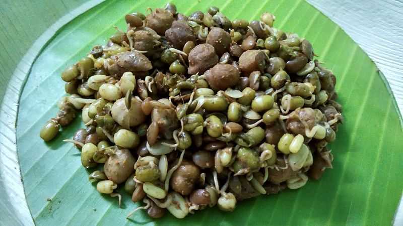 File:A plate of sprout grains.jpg