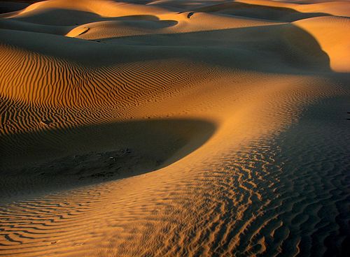 The Thar Desert in the state of Rajasthan where the nuclear site, the Pokhran Test Range, is located.