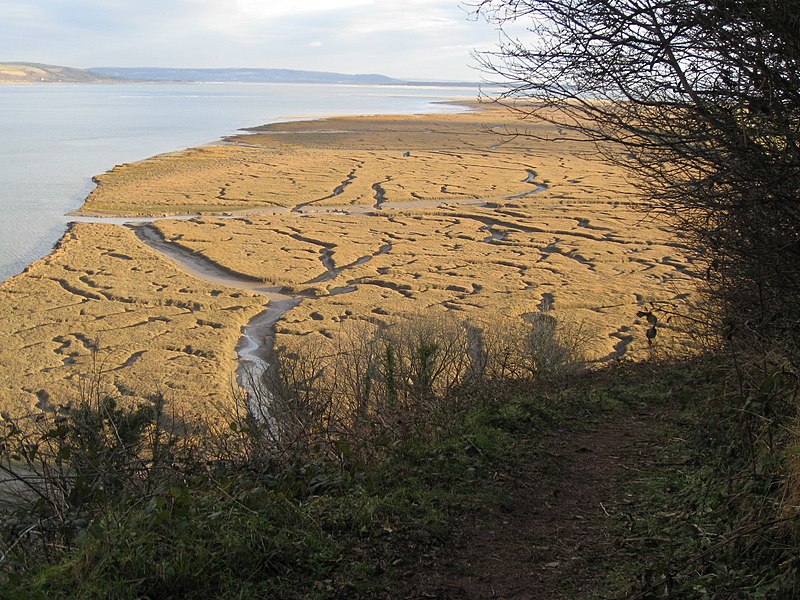 File:A winter view - Salt marshes south of Laugharne - geograph.org.uk - 1710959.jpg