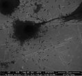 Aatomkihtsadestatud kattega meditsiinilise titaani objekt biotestis, luurakud ja tundmatud bakterid.JPG