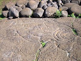 Hình cá khắc đá được tìm thấy gần Ahu Tongariki