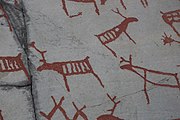 English: Rock art in the world heritage area in Alta, Norway. This is from the area Bergbukten 4b, a group of 195 figures. 22-24 m above sea level, and 6000-7000 years old.