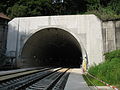 Alter Mainzer Tunnel02 2010-08-22.jpg