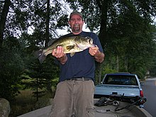 M. salmoides (largemouth bass) caught by an angler in Connecticut Angler largemouth.jpg