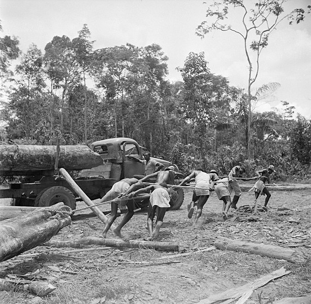 File:Arbeiders bezig met het slepen van boomstammen in het bos, Bestanddeelnr 252-2553.jpg