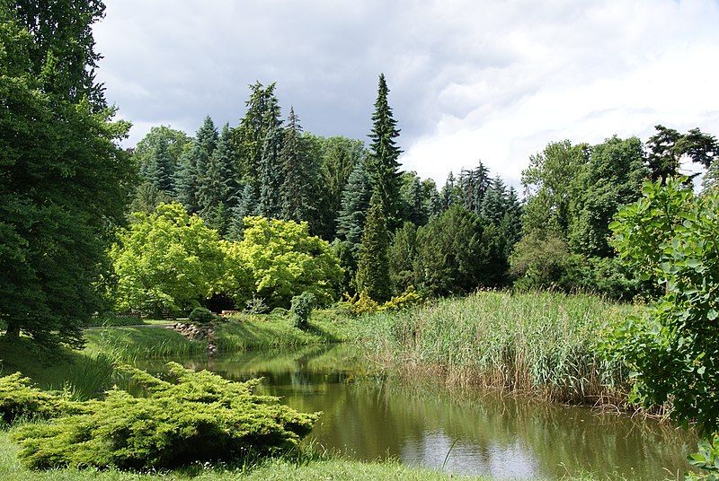 File:Arboretum w Kórniku.jpg