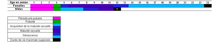 Otarie À Fourrure Subantarctique: Répartition et population, Aspect physique et proportions, Histoire naturelle