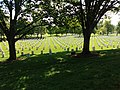 Arlington National Cemetery