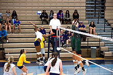 The Zias volleyball team in action against the Texas A&M-Commerce Lions in 2014 Athletics-Volleyball vs ENMU-8350 (15440320745).jpg