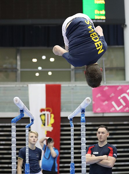 File:Austrian Future Cup 2018-11-23 Training Afternoon Parallel bars (Martin Rulsch) 0846.jpg