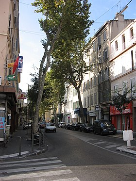 Obraz poglądowy artykułu Avenue des Chartreux