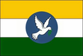 Bandeira de Hugo Napoleão (Piauí)