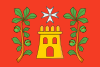 Bandeira de São João de Rio