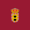 Flag of Paredes de Nava