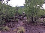 Thumbnail for 2017 Payson flash floods