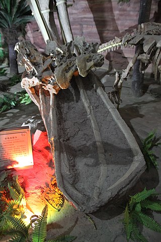 <i>Baotianmansaurus</i> Extinct genus of dinosaurs