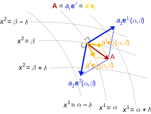 The contravariant components
of a vector
are obtained by projecting onto the coordinate axes. The covariant components
are obtained by projecting onto the normal lines to the coordinate hyperplanes. Basis.svg