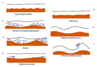 Several common ripple shapes. Giant current ripples usually exhibit antidune breaking wave and dune ripple shapes, resulting from their high energy environments. Bedforms under various flow regimes.pdf