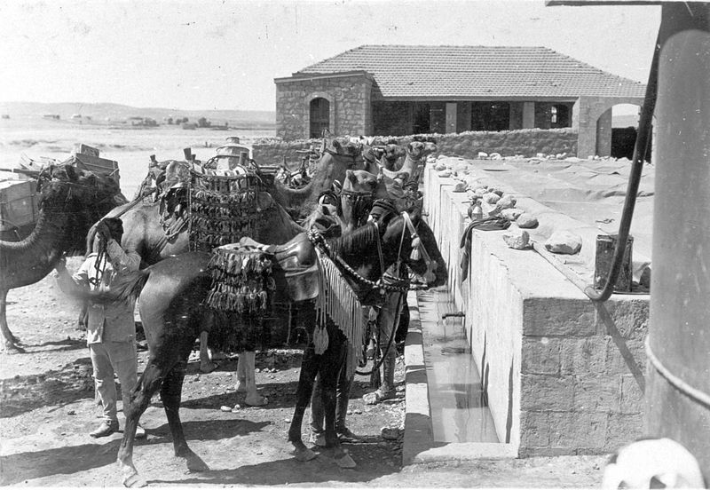 File:Beersheba in 1917 09.jpg