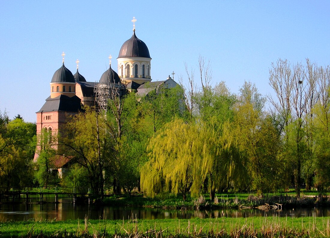 File:Berestechko cathedral.jpg