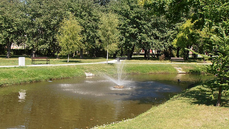 File:Bialogard-park-180716-14.jpg